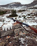 The author’s hard work paid of with four white-tailed ptarmigan.