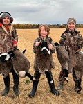 Maddy, Emmitt and Audrey with a fine haul of geese.