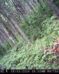 Reader Story Photo 1