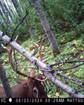 Reader Story Photo 2